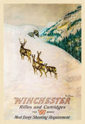 Winchester Rifles & Cartridges Deer Hunting 1912 Fine Art Print