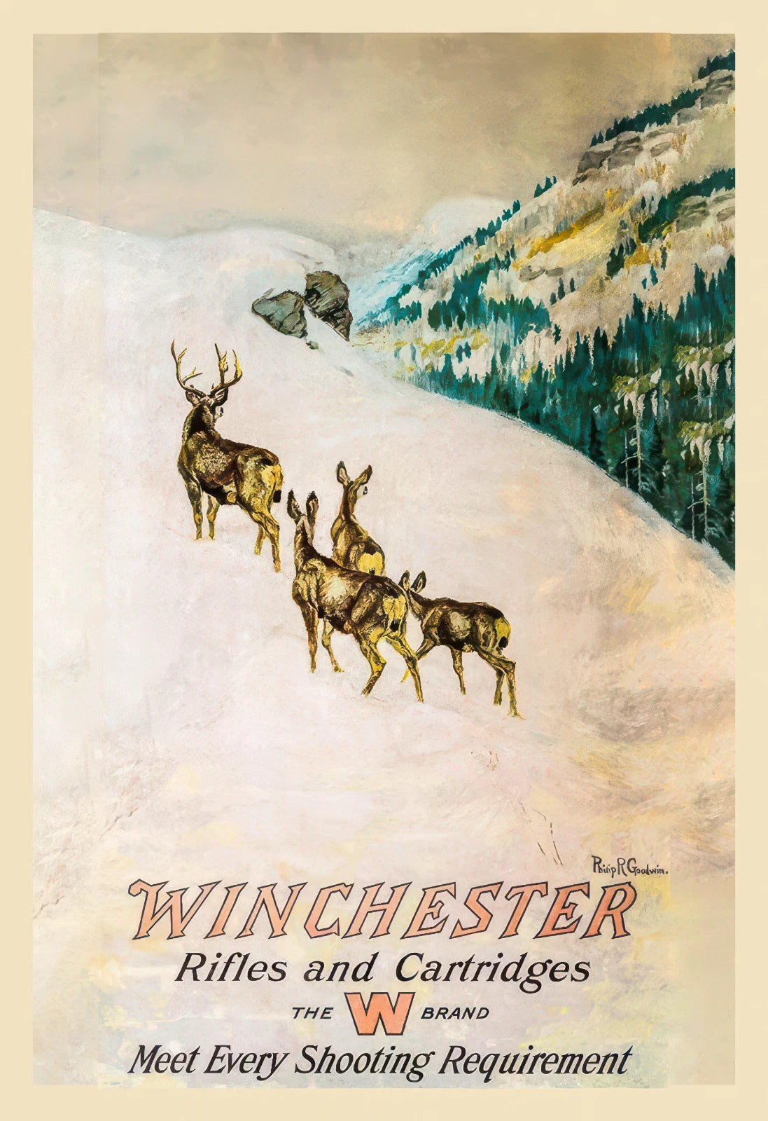 Winchester Rifles & Cartridges Deer Hunting 1912 Fine Art Print