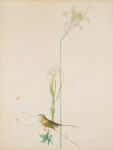 {{ product_title }} Fine Art Print | {{ product_vendor }} Jakero77 Joseph Stella - Lily and Bird (circa 1919) - 17" x 22" Fine Art Print Art Print  Jakero77