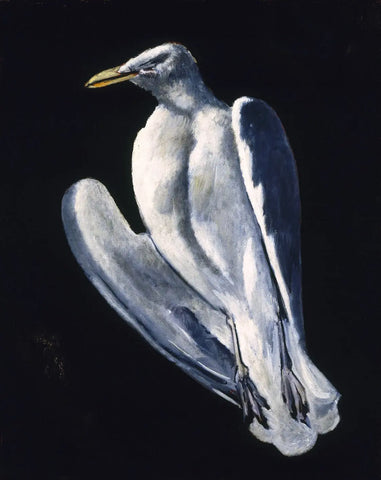 {{ product_title }} Fine Art Print | {{ product_vendor }} Jakero77 Marsden Hartley - Gull (1942-43) Seagull Bird Fine Art Print Art Print  Jakero77