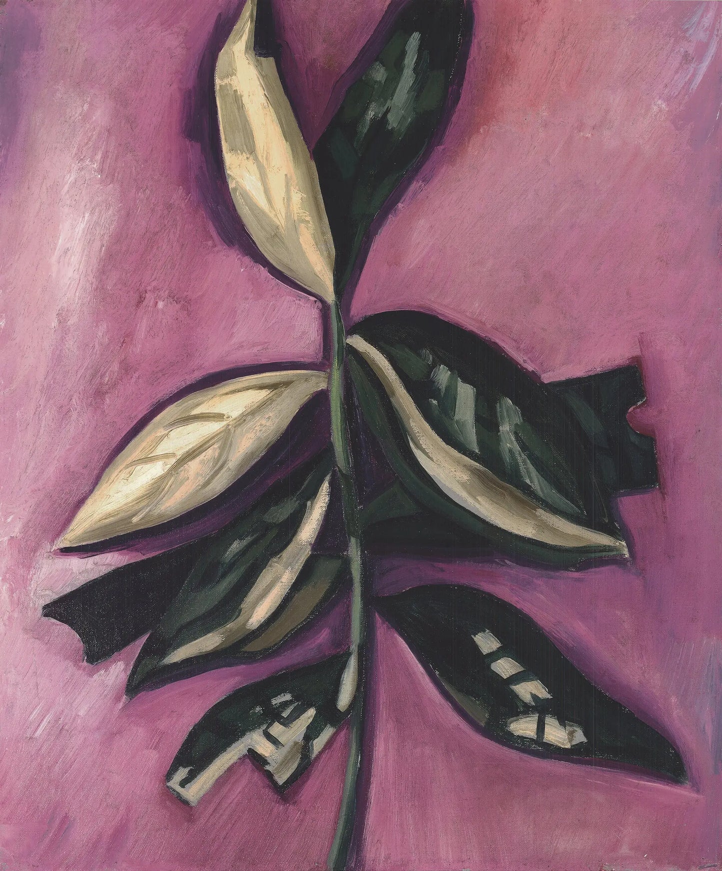 {{ product_title }} Fine Art Print | {{ product_vendor }} Jakero77 Marsden Hartley - Leaves (1929) Fine Art Print Art Print  Jakero77