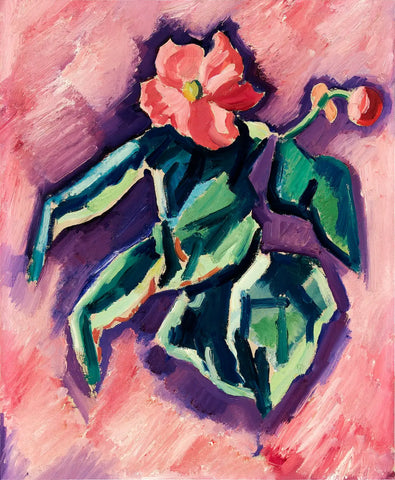 {{ product_title }} Fine Art Print | {{ product_vendor }} Jakero77 Marsden Hartley - Pink Begonias (1928-29) Flowers Fine Art Print Art Print  Jakero77