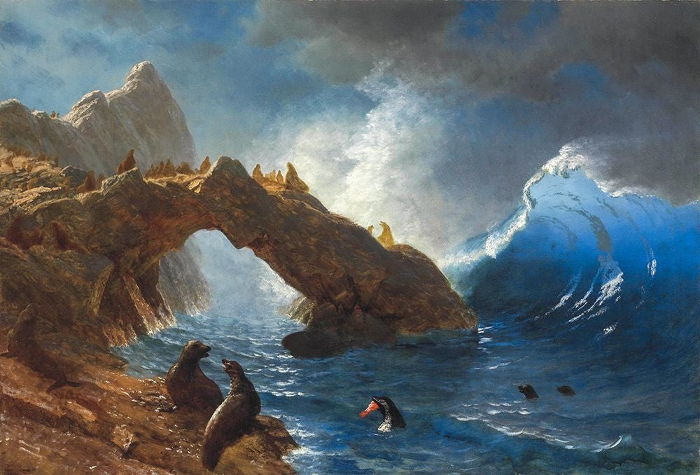 Albert Bierstadt Seals on the Rocks 1873 Fine Art Print