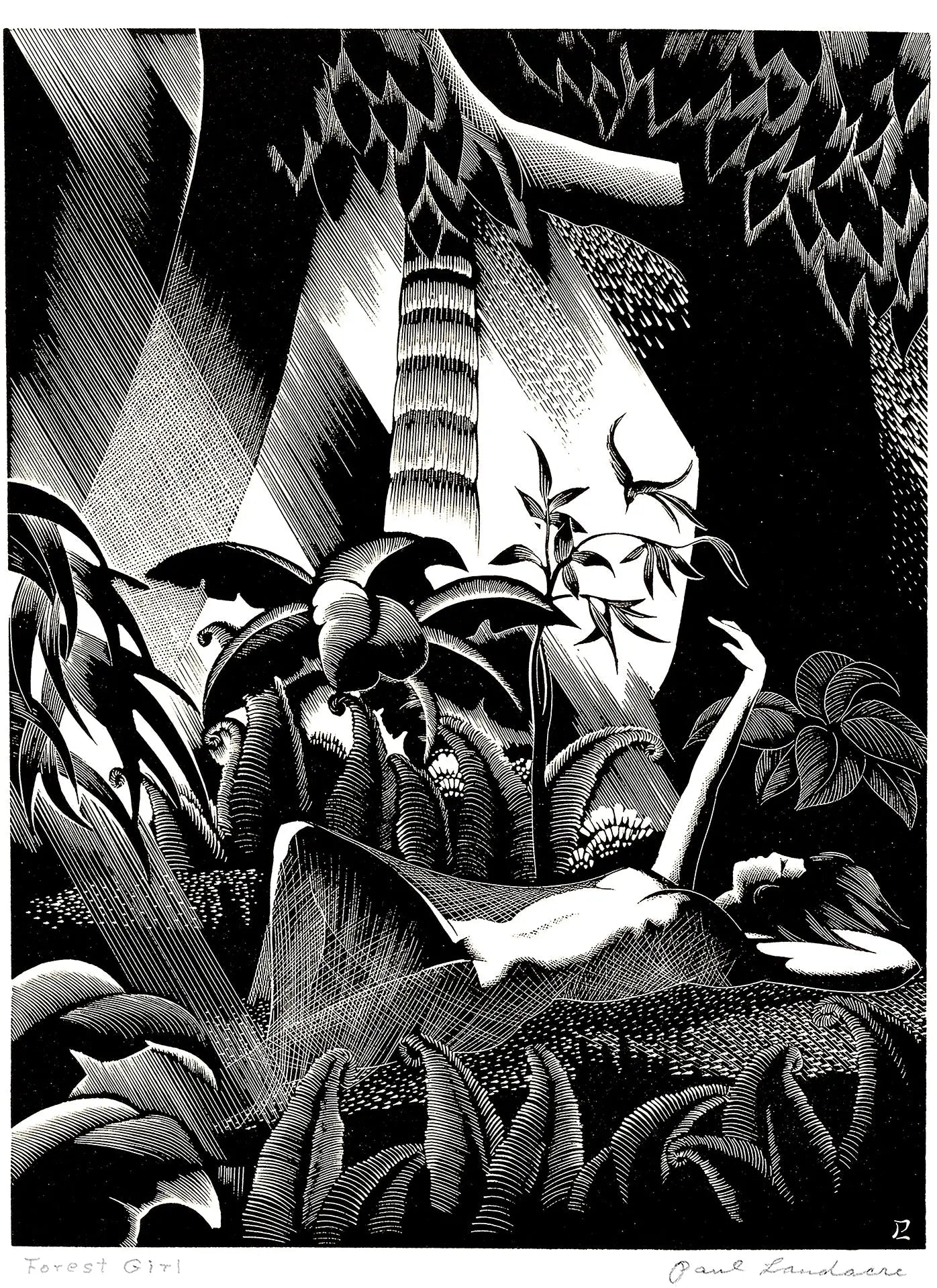 {{ product_title }} Fine Art Print | {{ product_vendor }} Jakero77 Paul Landacre - Forest Girl Nude (1936) - 17" x 22" Fine Art Print Art Print  Jakero77