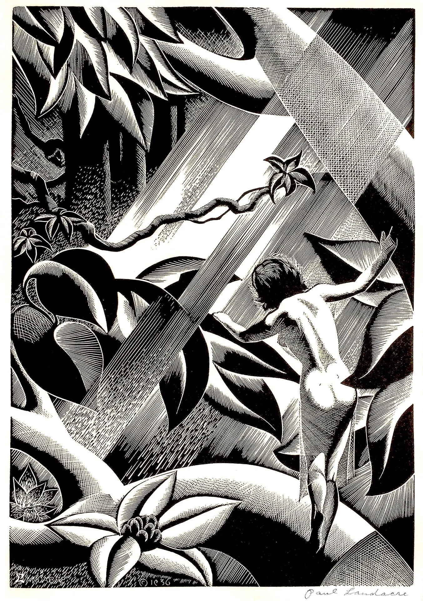 {{ product_title }} Fine Art Print | {{ product_vendor }} Jakero77 Paul Landacre - Rima Forest Girl Nude (1936) - 17" x 22" Fine Art Print Art Print  Jakero77