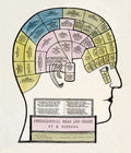 Phrenological Head Chart Vintage Medical Anatomy Poster 1857 Fine Art Print