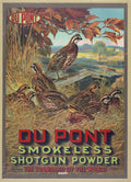 DuPont Quail Hunting Vintage Shotgun Powder Poster 1913 Fine Art Print