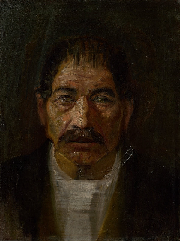 Laszlo Mednyanszky Uncle Jan 1890-1891 Fine Art Print