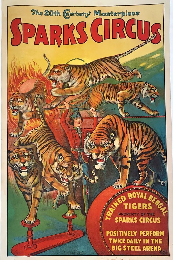 Sparks Circus Bengal Tiger Act Vintage Style Circus 1920 Fine Art Print