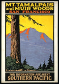Visit Muir Woods San Francisco California Vintage 1910 Fine Art Print