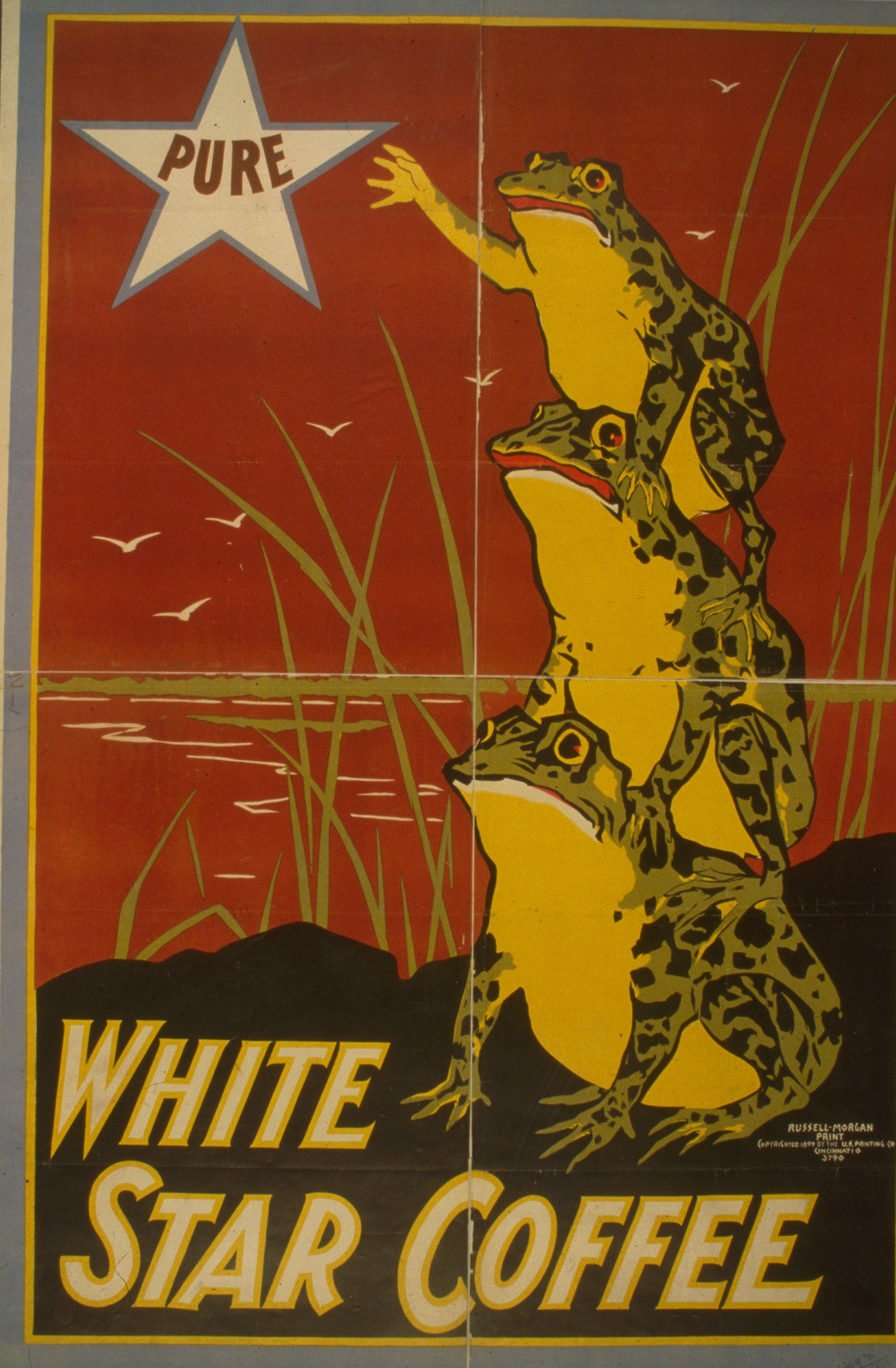 White Star Coffee Frog Vintage Style Advertising Poster 1899 Fine Art Print