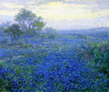 Robert Julian Onderdonk A Cloudy Day, Bluebonnets near San Antonio, Texas 1918 Fine Art Print