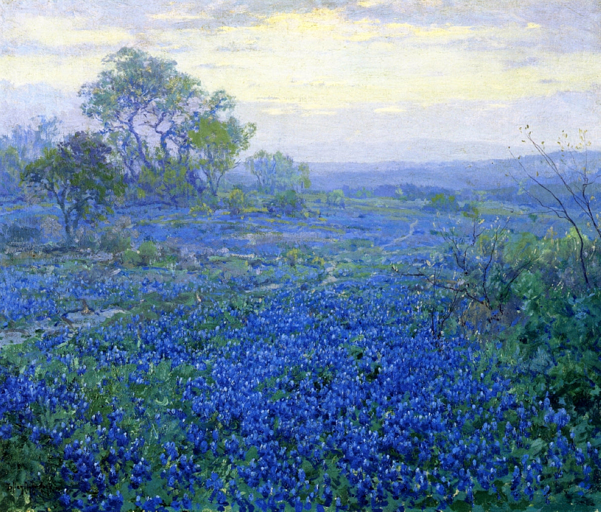 Robert Julian Onderdonk A Cloudy Day, Bluebonnets near San Antonio, Texas 1918 Fine Art Print