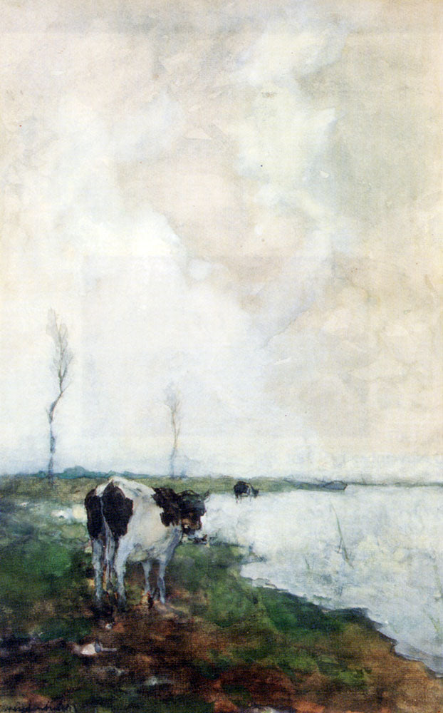 Johan Hendrik Weissenbruch A Cow Standing By The Waterside In A Polder 1903 Fine Art Print