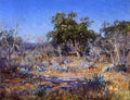 Robert Julian Onderdonk A January Day in the Brush Country 1922 Fine Art Print
