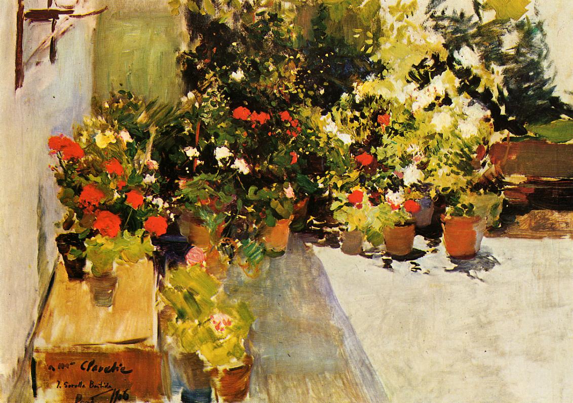 Joaquín Sorolla A Rooftop with Flowers 1906 Fine Art Print