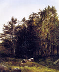 David Johnson A Study near Tamworth, New Hampshire 1863 Fine Art Print