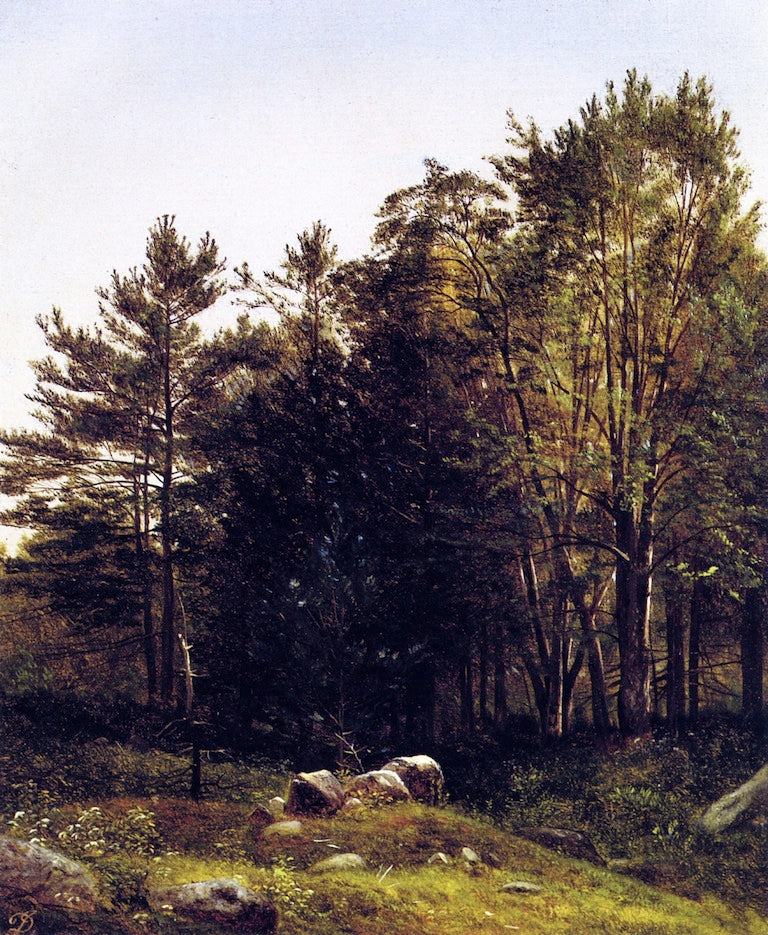 David Johnson A Study near Tamworth, New Hampshire 1863 Fine Art Print