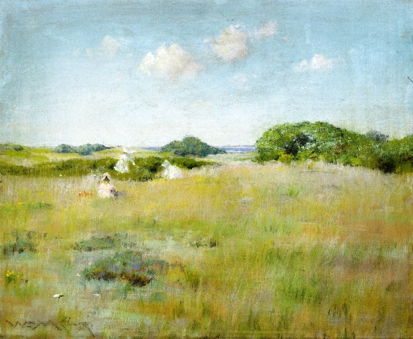 William Merritt Chase A Summer Day 1895 Fine Art Print