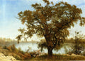 Albert Bierstadt A View from Sacramento 1875 Fine Art Print