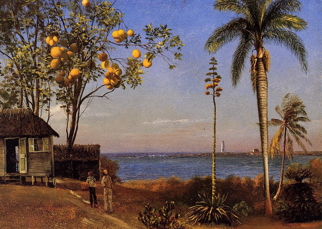 Albert Bierstadt A View in the Bahamas 1879 Fine Art Print