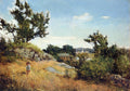 Willard Metcalf A View of the Village 1890 Fine Art Print