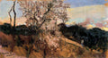 Joaquín Sorolla Almond trees in Asis 1888 Fine Art Print