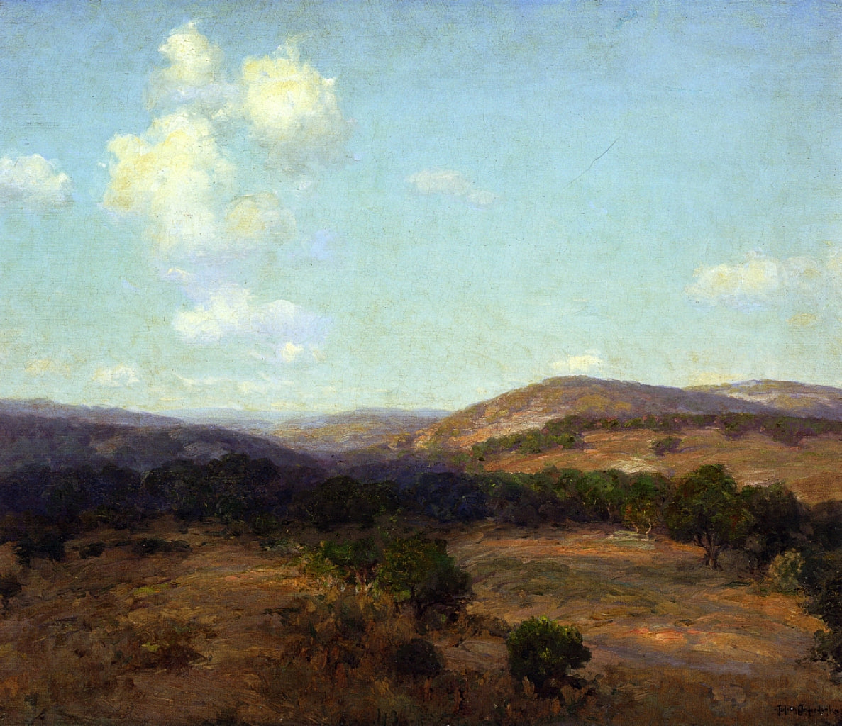 Robert Julian Onderdonk Bandera Hills 1922 Fine Art Print