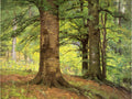 T. C. Steele Beech Trees 1895 Fine Art Print