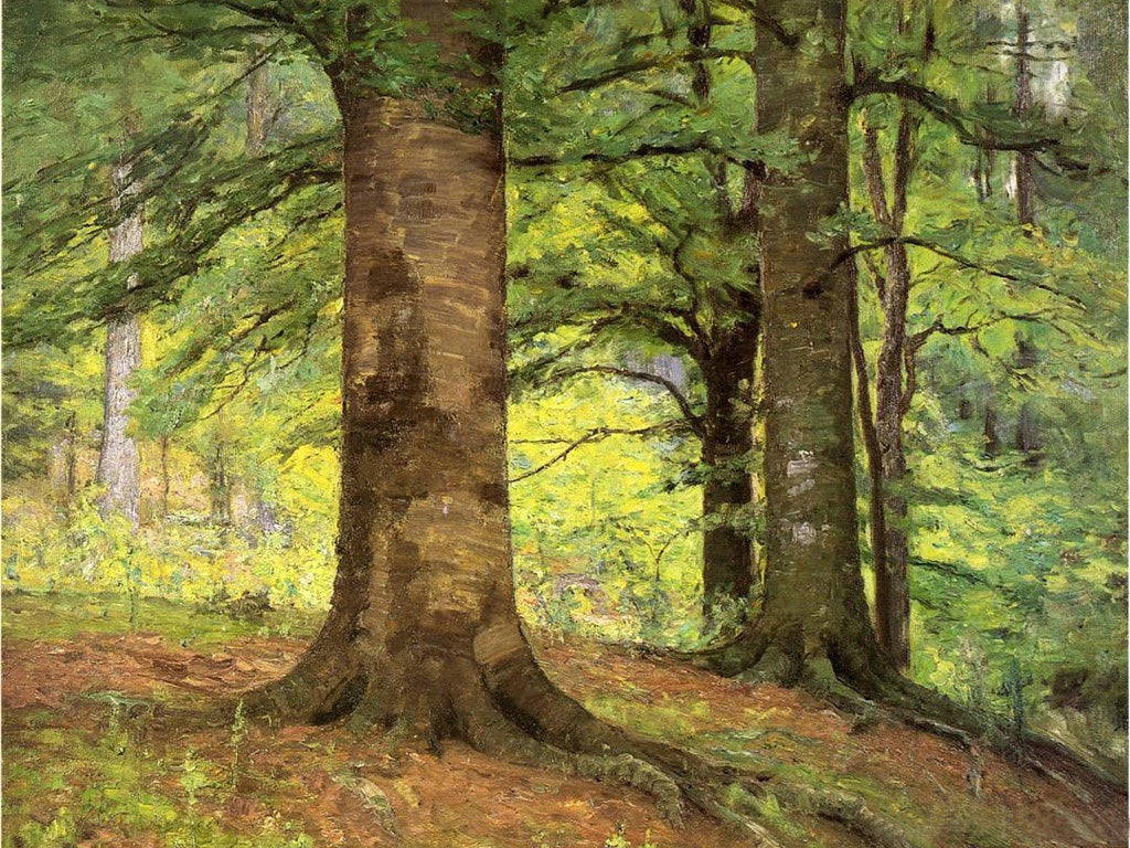 T. C. Steele Beech Trees 1895 Fine Art Print