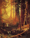 Albert Bierstadt Giant Redwood Trees of California (King’s River, Big Tree Grove, California) 1874 Fine Art Print