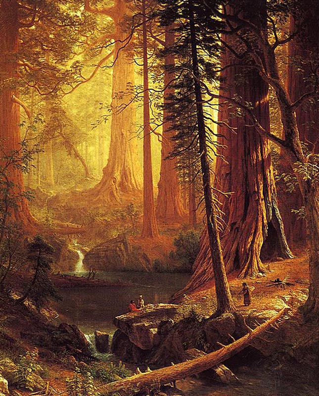 Albert Bierstadt Giant Redwood Trees of California (King’s River, Big Tree Grove, California) 1874 Fine Art Print