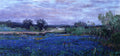 Robert Julian Onderdonk Blue Bonnets at Twilight 1922 Fine Art Print