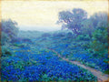 Robert Julian Onderdonk Bluebonnets at Sunrise 1917 Fine Art Print