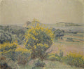 Lucien Pissarro Broom, Le Brusq 1925 Fine Art Print