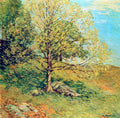 Willard Metcalf Budding Oak 1906 Fine Art Print