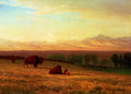 Albert Bierstadt Buffalo on the Plains 1890 Fine Art Print
