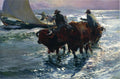 Joaquín Sorolla Bulls in the Sea 1903 Fine Art Print