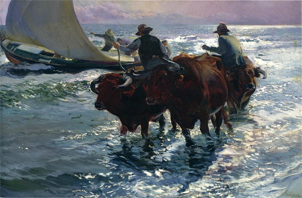 Joaquín Sorolla Bulls in the Sea 1903 Fine Art Print