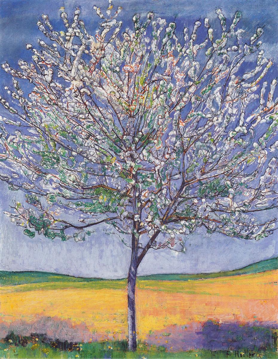 Ferdinand Hodler Cherry Tree in Bloom 1905 Fine Art Print