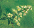 Laszlo Mednyanszky Chestnut Flower 1919 Fine Art Print