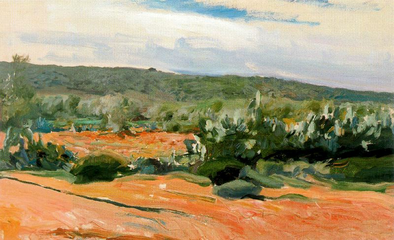 Joaquín Sorolla Chumberas Study 1914 Fine Art Print