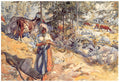 Carl Larsson Cowgirl in the Meadow 1906 Fine Art Print