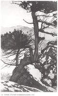 Ivan Bilibin Crimea. Old Juniper 1918 Fine Art Print