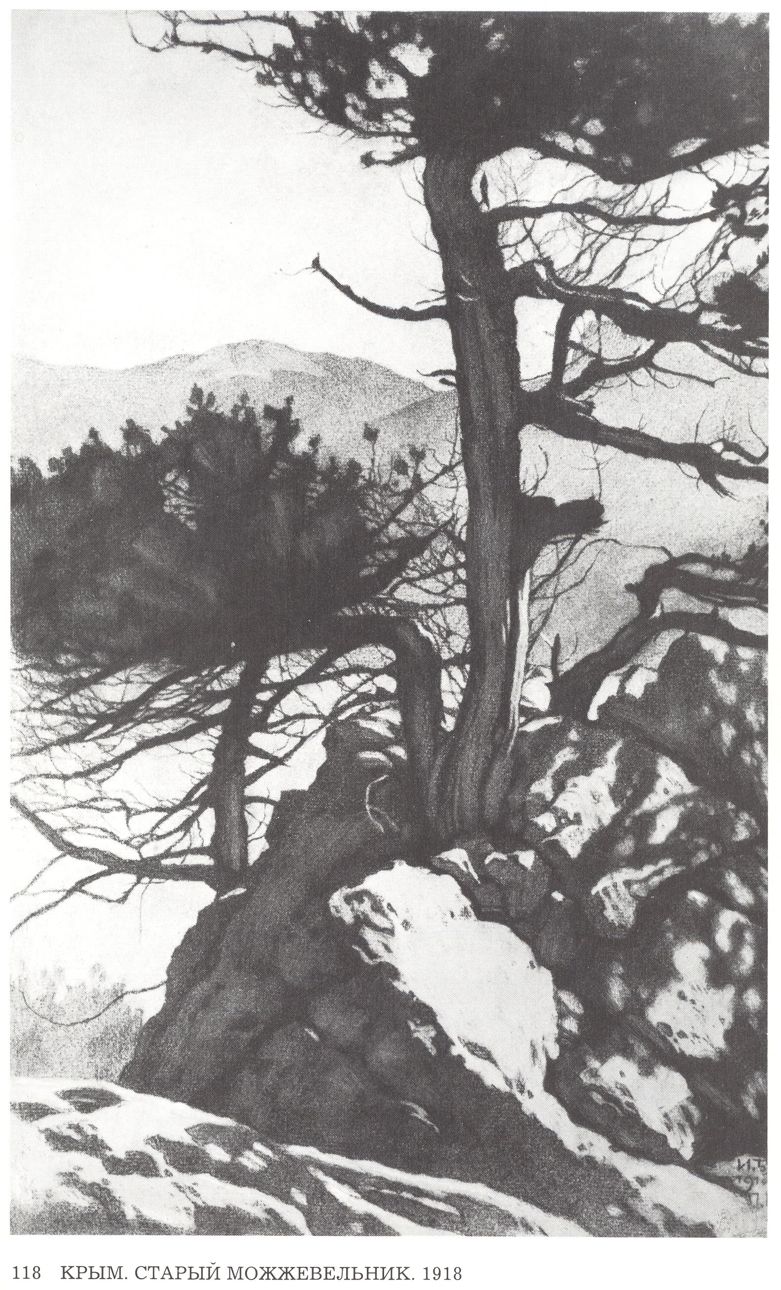 Ivan Bilibin Crimea. Old Juniper 1918 Fine Art Print