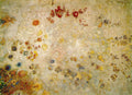 Odilon Redon Decorative Panel 1902 Fine Art Print