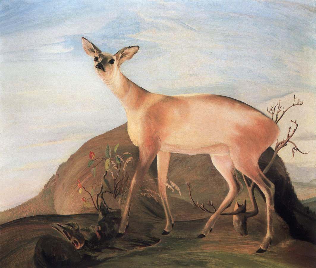 Tivadar Kosztka Csontvary Deer 1893 Fine Art Print