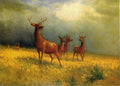Albert Bierstadt Deer in a Field 1885 Fine Art Print