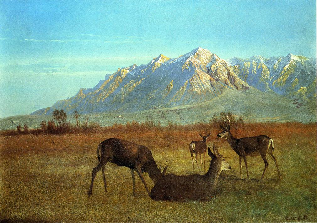 Albert Bierstadt Deer in a Mountain Home 1879 Fine Art Print