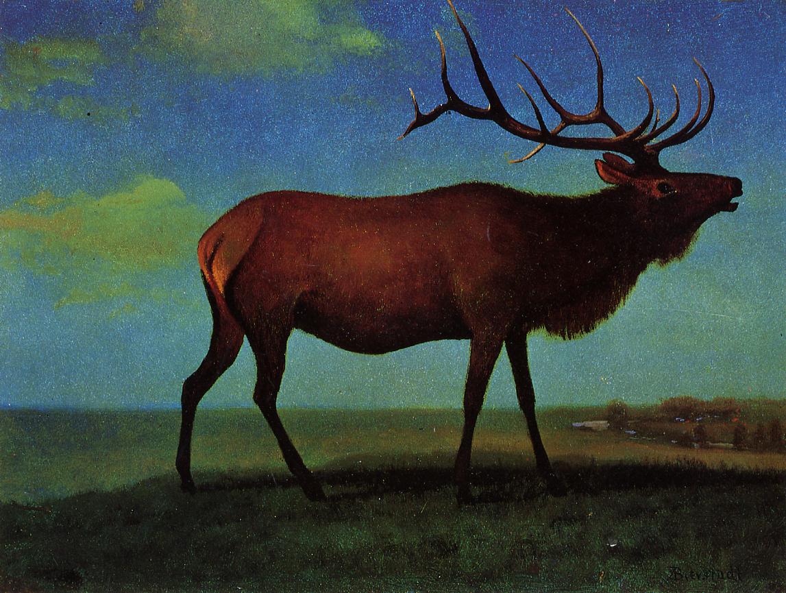 Albert Bierstadt Elk 1861 Fine Art Print